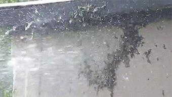 http://reho.st/gif/8e059e89c66bde856d0d07b0d4cad97af95fee1a.gif
