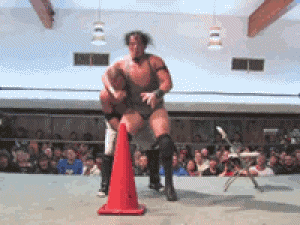 http://reho.st/gif/8eddec06474ac85ceb7c8502bc4b917aaf436fef.gif