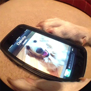 http://reho.st/gif/90ad5140603906ce46bd8157639d92d3617a3792.gif