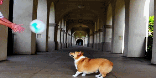 http://reho.st/gif/94457a72be2d885250aa45fa7f004a7f0f4fee03.gif