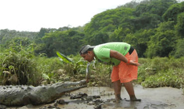 http://reho.st/gif/9556f6456b5760f1ded075423bc8e2a15a91be6d.gif