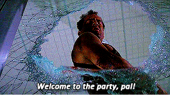 http://reho.st/gif/95bc3822295f6c6daa19afc4359d18f376976e85.gif