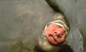http://reho.st/gif/9668c591ed749ccb0d057e47230ce92b495a1be7.gif
