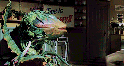 http://reho.st/gif/96d110653d94b9261b72724f3abe1dde19317daa.gif