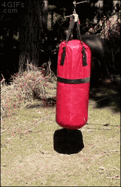 http://reho.st/gif/98c9a12d4c35187f6ceebbc4b8ce7e758c69e09e.gif