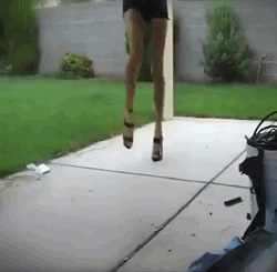 http://reho.st/gif/98dc3db28810e7b060559091cabb257c2f78ce77.gif