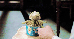 http://reho.st/gif/a82900c22a27c74f8bf018b0c8e8e93797c022b9.gif