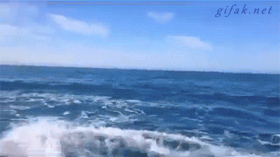 http://reho.st/gif/a88ac9ee8223c84dd9369430a1d8889b92417cff.gif