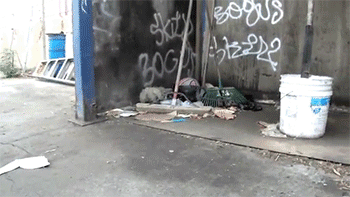 http://reho.st/gif/a932e4b56ae021d402b9957e1ac6c5afab3dc7c7.gif