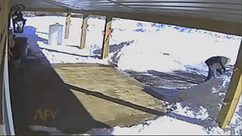 http://reho.st/gif/ad5e79a213f25a24aa6bb57d8703950e27b72033.gif