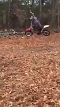 http://reho.st/gif/aea3199d6fe082e7ceeb76402096906416b50093.gif
