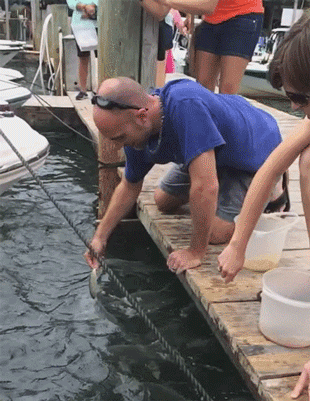 http://reho.st/gif/b29088d5e7fde3b07f8f5c16062e0b88ca10adbc.gif