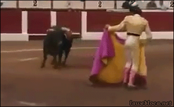 http://reho.st/gif/b36a957cd23840e4b7244e0ba0893ab7c3371c49.gif