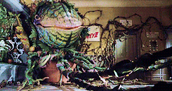 http://reho.st/gif/b4d5d13bad4e6069e764ecf3d98fa846b5739e7a.gif