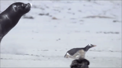 http://reho.st/gif/b64244d673559095101ee4cd3e0d2b590d6049cd.gif
