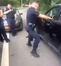 http://reho.st/gif/b85899e228348dc22b0fce72faf718eb24897e97.gif