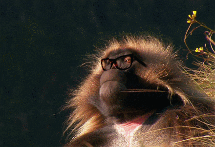 http://reho.st/gif/bb834a87797363c54643a638af6e31794b135649.gif