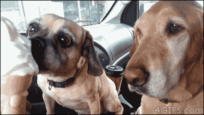 http://reho.st/gif/bcae1b5f483d9d55c02c7d93a92953ff1d204d4a.gif
