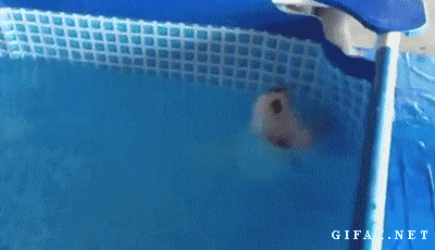 http://reho.st/gif/bd02cc8b8f4d9326063ef1203839baba062372ba.gif