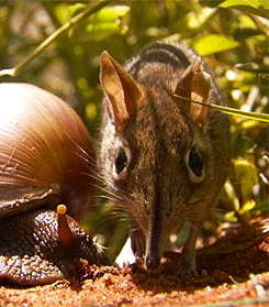 http://reho.st/gif/c00db9f98a8154eaf57ce35d27053fb4263501d4.gif