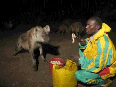 http://reho.st/gif/c19fa8649c1be75d14ce05fa2cf951b7af9c62b9.gif
