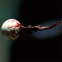 http://reho.st/gif/c313f11261a08b22dd3cc8c0da30bf1f50cb57a1.gif