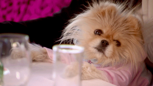 http://reho.st/gif/c982afa97a2278413b3df0452e6bec19e12a8da0.gif