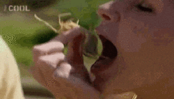 http://reho.st/gif/ca1ca18118a57207ecc73f7cc004cd9bc3ae93ac.gif