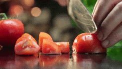 http://reho.st/gif/cc276bd18a28431dd0796c8eb4c8e67419acd3d0.gif