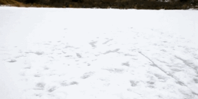 http://reho.st/gif/cd2d93f42911b73df3c1e835c4059be50a09f4a6.gif