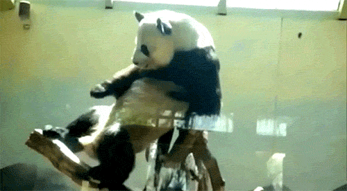 http://reho.st/gif/d094dd86644b11a9e5088861abcbf40be3fb3c8a.gif