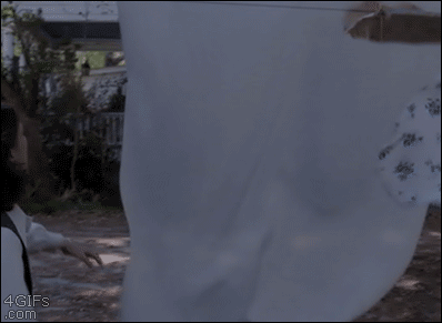 http://reho.st/gif/d0dd4d014c075a455fc0ee4eb4f4a014b7fe58b8.gif