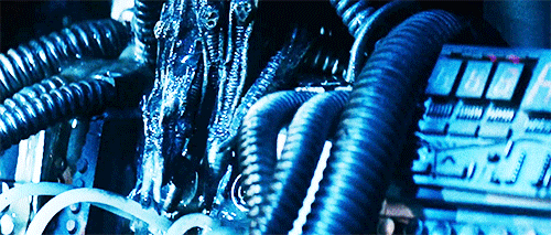http://reho.st/gif/d6cf9541a6c7fde3099b333ab1b5bcc275180320.gif
