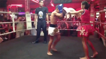 http://reho.st/gif/d82e097f9bf74564b624d7c115a9d9d73b4df617.gif