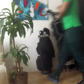 http://reho.st/gif/d99c28514d6e592616868a9d0f4668fc68d82067.gif
