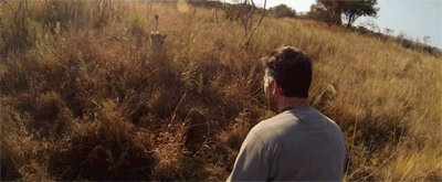http://reho.st/gif/da956b4cd37cde2373698c738abb3acbe9d4b411.gif