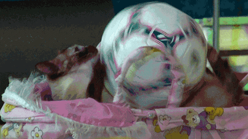 http://reho.st/gif/dccba464004280ba0b9a1c0173462d7b4885d6d7.gif