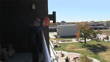 http://reho.st/gif/dd1ca6325f03704a9c3135940632fe44f756819e.gif