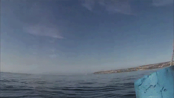http://reho.st/gif/de8c74c4f02582a70127df06bdd6107d3ccf9ebc.gif