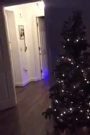 http://reho.st/gif/e02c27078fa0f777b8ef73555a191b3f9a4cd974.gif