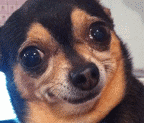 http://reho.st/gif/e425eddef3bd8aec4f3dd7eb8220e48bf22202db.gif