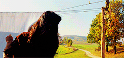 http://reho.st/gif/e78cbbfb8e08fde58f6622ee9408293ca16d458c.gif