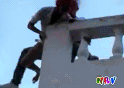 http://reho.st/gif/e7b2566ed59eeba0e7f6c8f79ffa729396e78434.gif