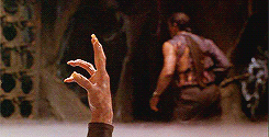 http://reho.st/gif/e93abd68832f13dbc029597f4e1199766d7b30c7.gif