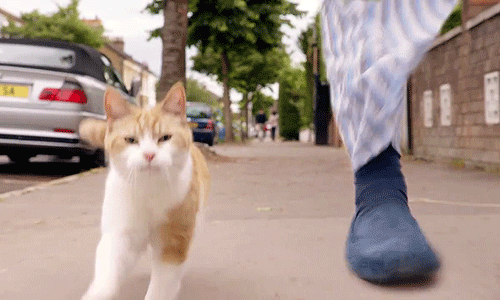 http://reho.st/gif/e9b02940662e858f3536dfe0e2fdb8d564de9076.gif