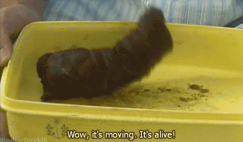http://reho.st/gif/ea588dc3928ab3c6e7f172bb58201a1a9606ff83.gif