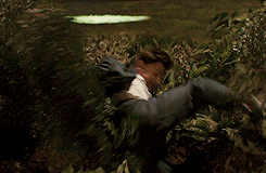 http://reho.st/gif/eae40b8dc7b2c8cce2687616113872188f03cf2a.gif