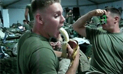 http://reho.st/gif/ed186b8a6b9d019ff5a7b34d6be6c4fc851dd686.gif