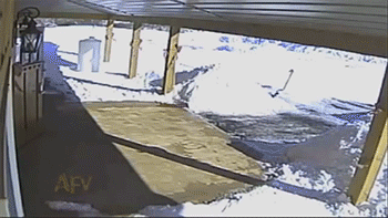 http://reho.st/gif/efaea3e2ad13450ecaaaa466b2176a4a3cd31b52.gif