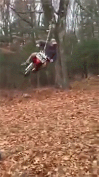 http://reho.st/gif/f1832c7de441cb8fa8e2f0a23efb4163709ab62c.gif